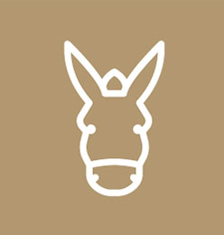 Mule Day Sponsorship Logo